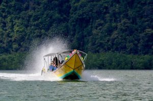 Jungle lodges for immersive nature experiences