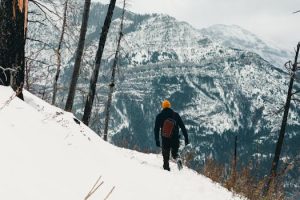 Luxury camping experiences in national parks