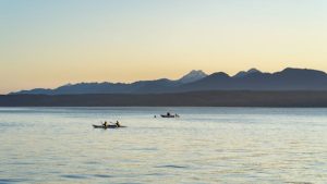 River kayaking trips for nature enthusiasts