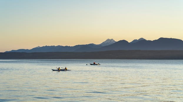 River kayaking trips for nature enthusiasts