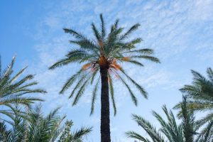 Rainy season adventures in tropical paradises