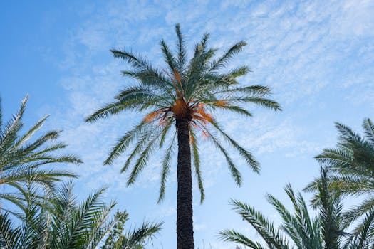 Rainy season adventures in tropical paradises