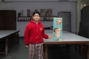 Project-based science lessons making learning stick