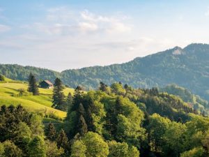 Mountain railways with jaw-dropping panoramas