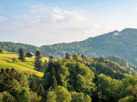 Mountain railways with jaw-dropping panoramas