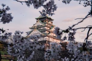 Cultural museums off the tourist radar