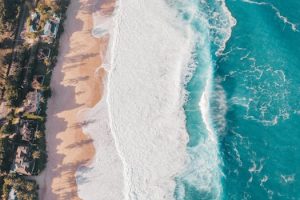 Island resorts leading in marine conservation