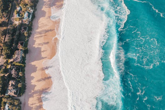 Island resorts leading in marine conservation