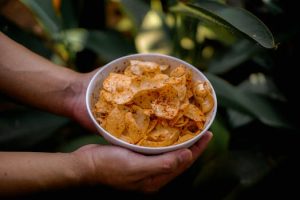 Mandoline Slicers for Crisp Chips