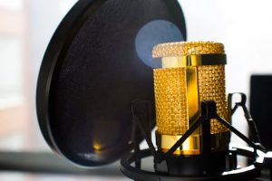 Pet Cameras With Two-Way Audio Communication