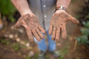 Why Some People Choose to Work in Agriculture