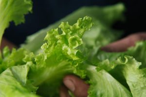 Cooking for Sustainability: Eco-Friendly Kitchen Habits