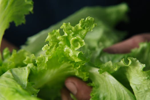 Cooking for Sustainability: Eco-Friendly Kitchen Habits