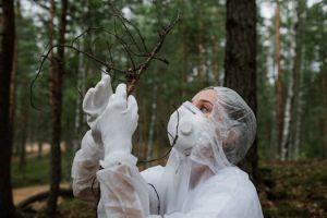 Career Paths in Environmental Science and Sustainability